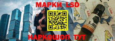 гашик Будённовск