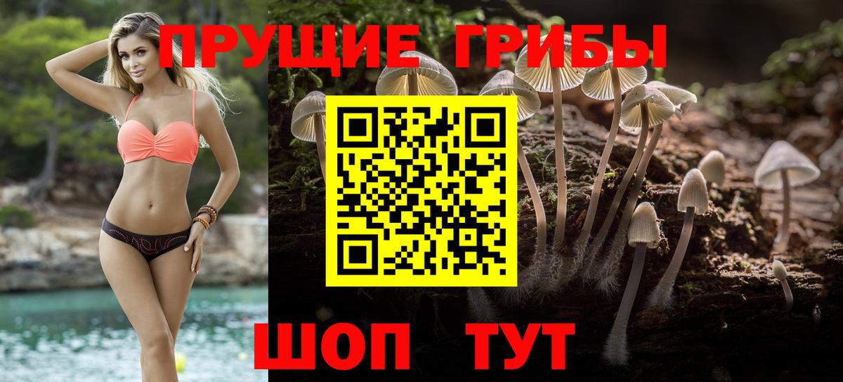 цены наркотик  Вход с VPN  Кудымкар  Псилоцибиновые грибы Psilocybine cubensis 